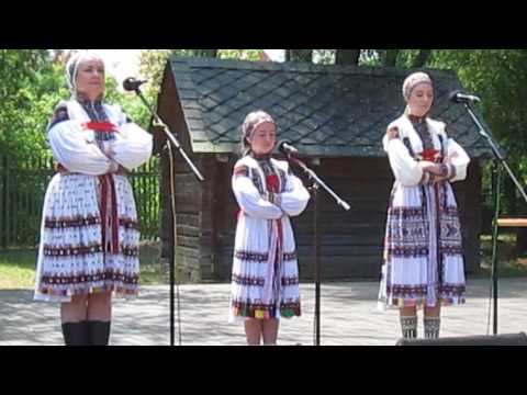 Pořad:  Máme to v rodině  č.3 - Sedlačíkovi / MFF Strážnice 2017