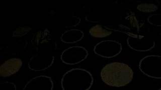 Nobody Dances Anymore