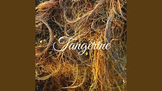 Tangerine Music Video