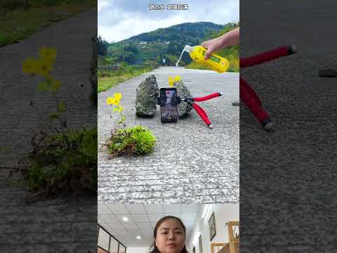 Artistic photographer #music #love #trump #korea #trending #shots #viral #fyp #japan