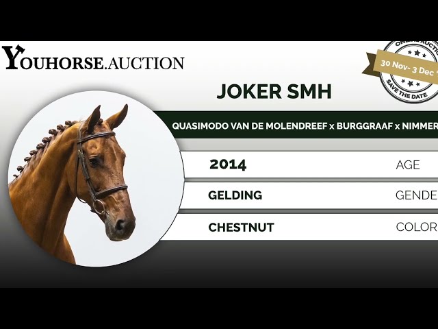 Joker showvideo outdoor