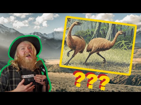 Moa: The Madness Surrounding New Zealand’s Modern, Flightless Fossil