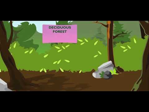 Scholastic - Study Jams - Biomes