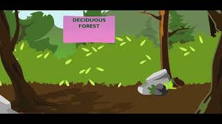 Scholastic - Study Jams - Biomes