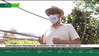 Miniatura do vídeo