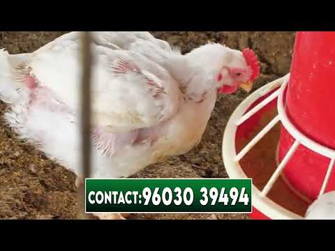 Ayurvedic herbal syrups & tonics