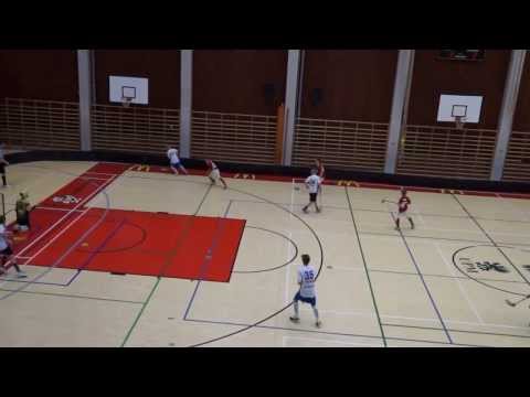 NST D1 Valkoiset vs Voima Blues 11 1 2014
