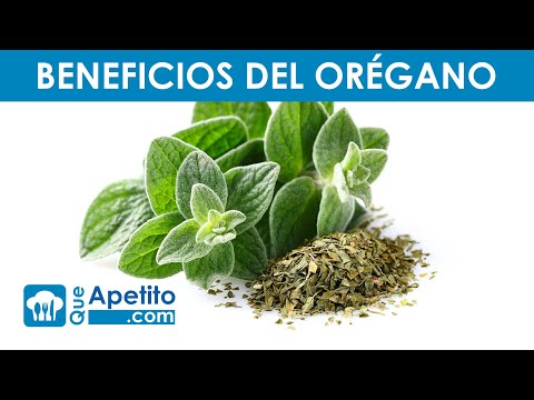 Los beneficios nutricionales del orégano, más que un condimento | Vida Saludable