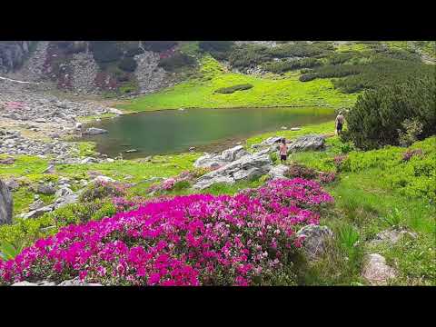 "Glasul Domnului ne cheamă" -  SSHorj