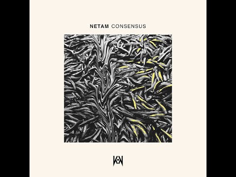 KNTR 006 Netam - "Dazlak"