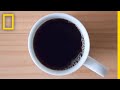 Caffeine 101 National Geographic