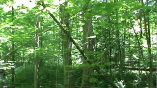 Thought we heard somthing