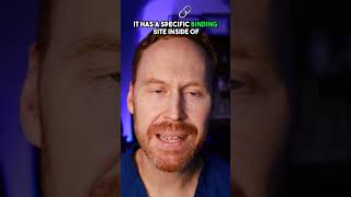 Download lagu Hentikan Penetrasi Virus mp3