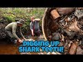 Digging up Fossils in Florida - The Hunt for Megalodon Shark Teeth