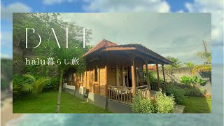 【暮らす様に旅をする】halu暮らし旅　@halu_tabi 