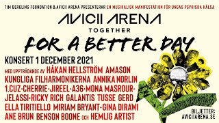 Avicii Arena – Together For A Better Day