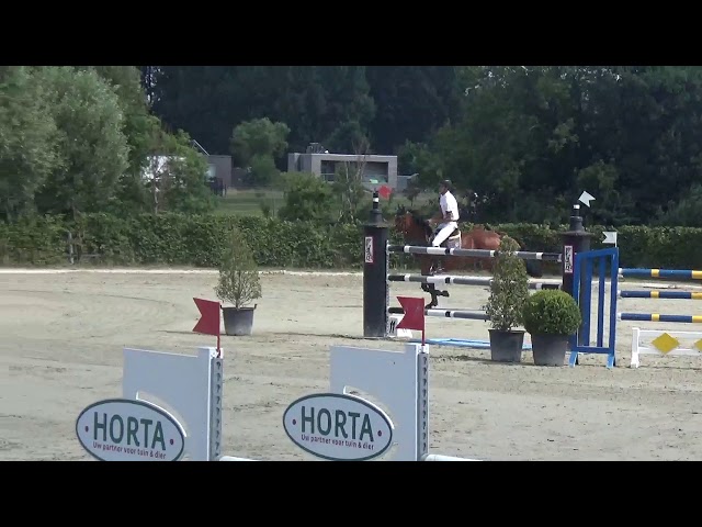 Mother CSI 1.45m jumping mare La Luna de Mauretus with rider Jan van Dyck