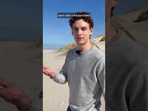 Hvad laver vi her i dag?