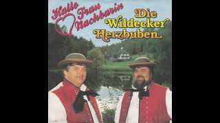 Wildecker Herzbuben - Hallo, Frau Nachbarin