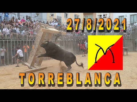 💯🔝🔝TOROS TORREBLANCA FERNANDO MACHANCOSES 27/8/21