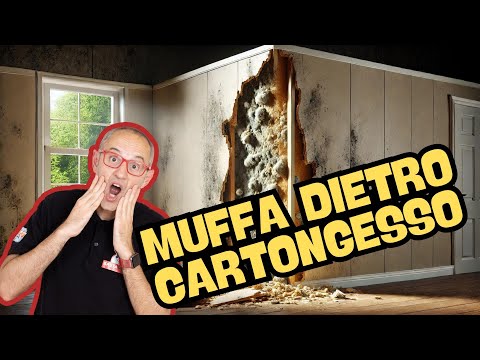 Muffa dietro cappotto interno: CHE DISASTRO!