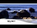 WLIW21 Local Ident Station ID 1
