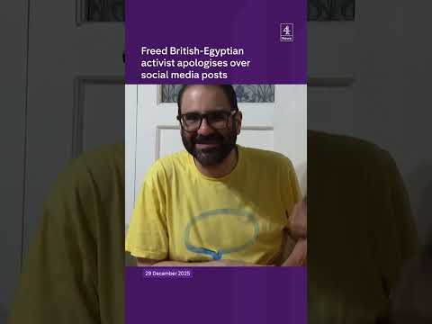 Freed British-Egyptian activist apologises over social media posts