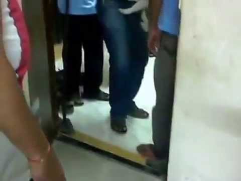 download lagu mp3 mp4 Animal Rescue Mumbai, download lagu Animal Rescue Mumbai gratis, unduh video klip Animal Rescue Mumbai