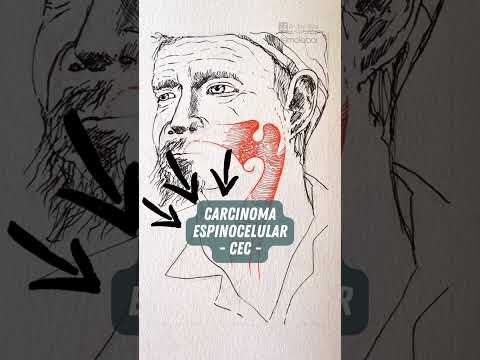 João Elias De Godoi-20