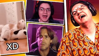 REACCIONANDO A TIKTOKS RANDOMS