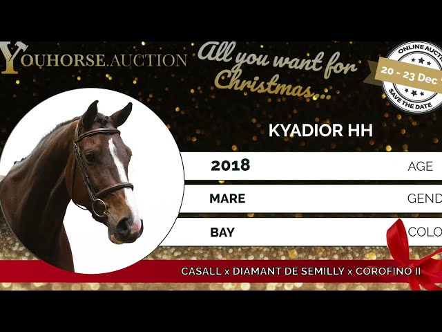 Kyadior try out