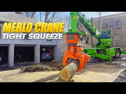 Precision Tree Removal in Tight Spaces — 3 Jobs, 1 Day