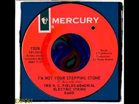 THE W C  FIELDS MEMORIAL ESB - I'M NOT YOUR STEPPING STONE