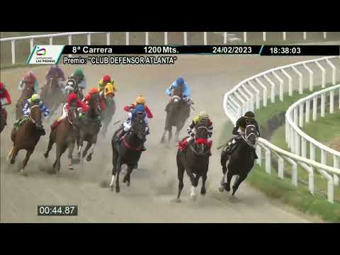 230224 c08 -  DOG ALICANTE - HIPODROMO LAS PIEDRAS - PREFERENCIAL "CLUB DEFENSOR ATLANTA"