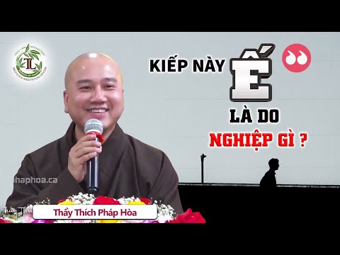 "Ế" là do NGHIỆP gì? Vấn Đáp Thầy Thích Pháp Hòa CƯỜI ĐAU RUỘT