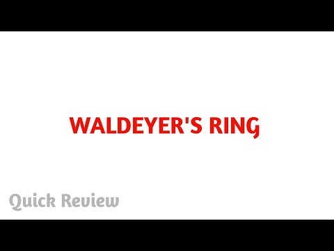 Waldeyer's ring - for mbbs students | Easy explaination