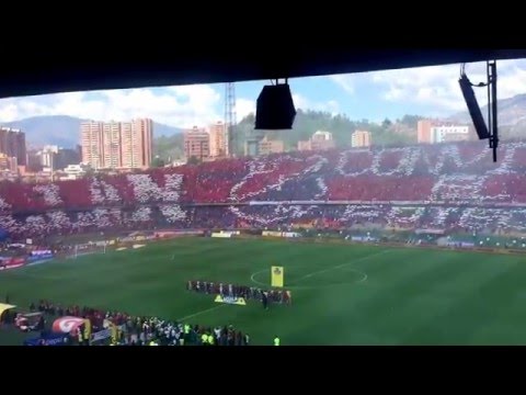 "Salida en el Clásico DIM vs. NACIONAL #ElfútbolCuentaConmigo" Barra: Rexixtenxia Norte • Club: Independiente Medellín