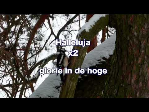 Opwekking 662 God regeert 1B