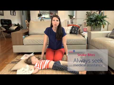 CPR Kids - First Aid for Funnel Web Spider and Snake bites
