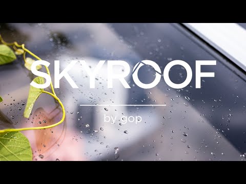 Takskivor Skyroof gop Komplett Pulpettak 10 mm Klar