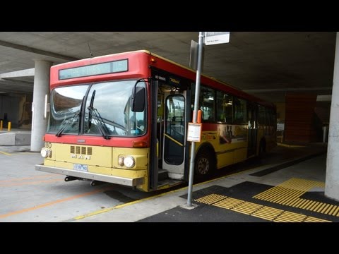 Ventura/National #280 MAN SL200 (Ansair MkII)