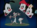 Animaniacs Intro Different Endings Russian 2014 Dub By Boomerang