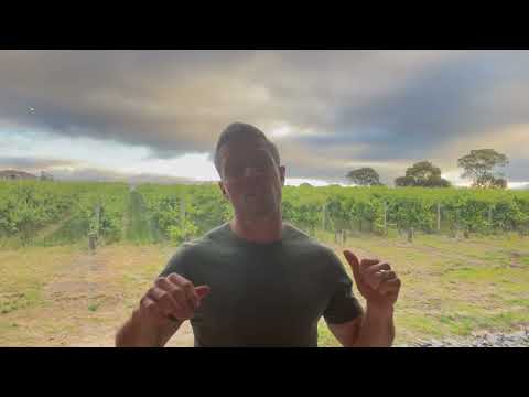 Thicker Than Water Wines