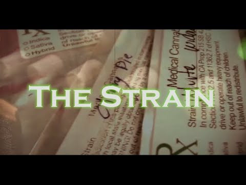 K Johnson - The Strain (Official Video)