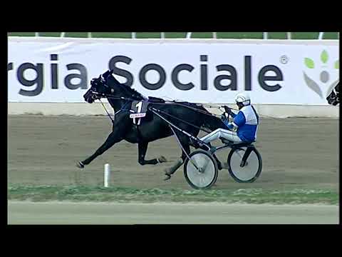 Napoli Trotto 29/10/2021 - 2ª corsa