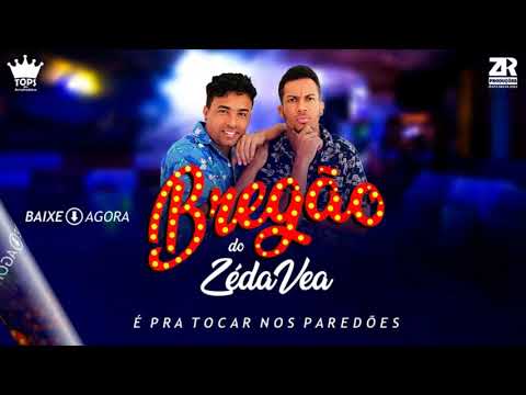 PRIMA DA DALZIZA/A BARRA É PESADA - BREGÃO DO ZÉ DA VEA VOL-1