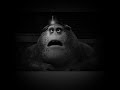 Rumble Rumble Soundtrack End Credits Song
