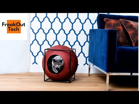 5 Incredible Inventions For Your Cat #9 ✔ Video