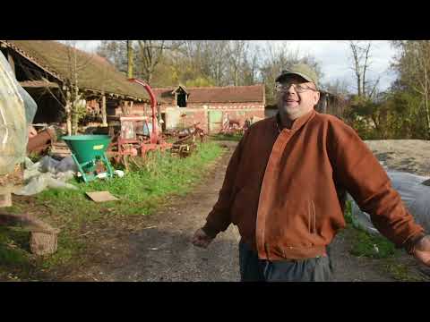 MOŽE LI GORE PO STOČARE? Farma muznih krava - Simićevo