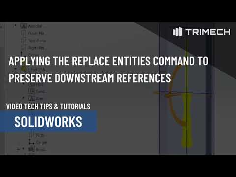 Applying the Replace Entities Command to Preserve Downstream References